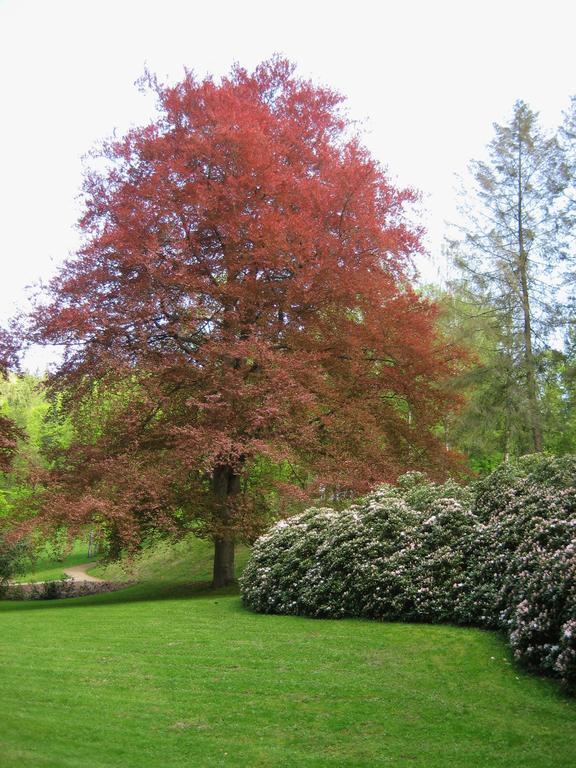 Augustenhof Bad Elster Exterior foto